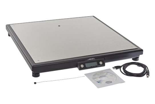 ¿Báscula digital o analógica?