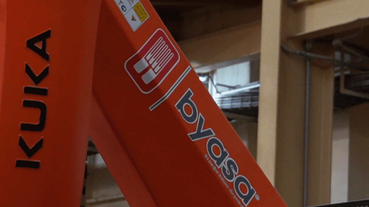 Características del paletizador automático robótico de Byasa