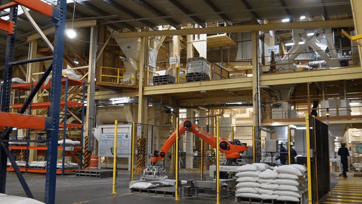 Aspectos por considerar para calcular el ROI de la automatización en el paletizado